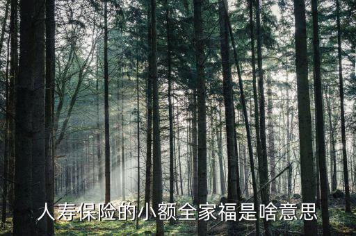 人壽全家福是什么意思，人壽保險(xiǎn)的小額全家福是啥意思