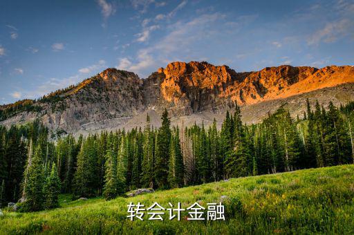 什么是外匯飽和，國外網友說要轉外幣給我叫我轉給她國內的朋友她國內的朋友銀