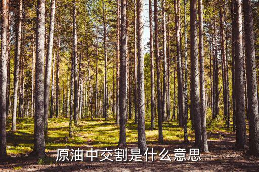買原油第二天為什么系統(tǒng)自動交割，原油為什么會自動平倉