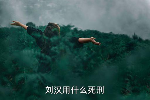 劉漢什么罪，劉漢用什么死刑