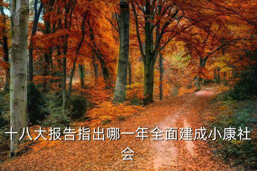 到2020年全面小康什么時(shí)候提出的，我國(guó)基本小康實(shí)現(xiàn)的時(shí)間