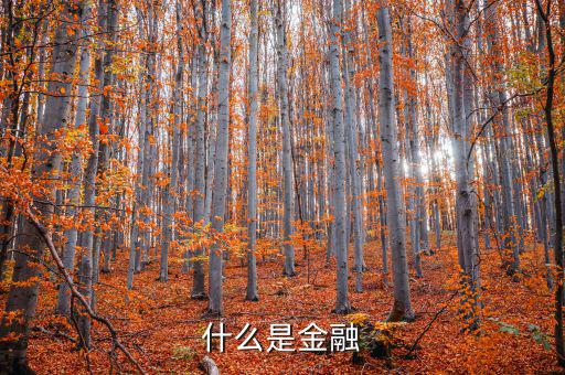 金融是什么，什么是金融
