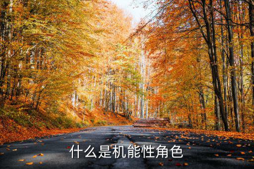 什么是名義剛性，什么是機(jī)能性角色