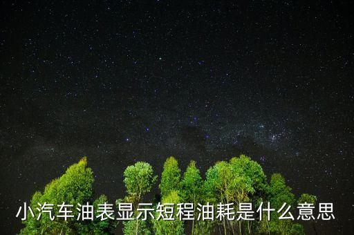 油耗顯示是指什么，請(qǐng)教專業(yè)人士瞬時(shí)油耗顯示是什么意思