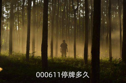 000611什么時(shí)候復(fù)牌，000611停牌多久