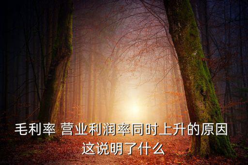 毛利率增長說明什么，增值稅毛利率的高低說明什么