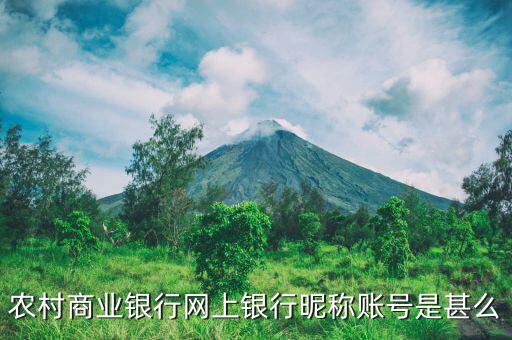 吳江農(nóng)村商業(yè)銀行用戶名是什么，銀行用戶名是什么