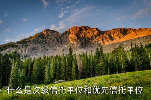 什么是優(yōu)先次級(jí)受益人，簡單解釋下信托的優(yōu)先次級(jí)機(jī)構(gòu)是什么意思