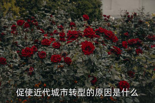 為什么城鎮(zhèn)化要轉(zhuǎn)型，促使近代城市轉(zhuǎn)型的原因是什么
