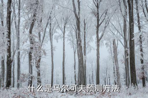 什么是近期市場(chǎng)預(yù)測(cè)，本周剩下兩天的行情分析