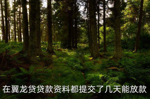 翼龍貸什么時(shí)候放項(xiàng)目，在翼龍貸貸款資料都提交了幾天能放款