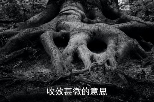 收效甚微的微是什么意思，收效甚微的意思