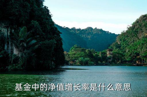 基金增長率是什么意思，在基金里成立以來增長率是什么意思啊如成立以來增長率是80