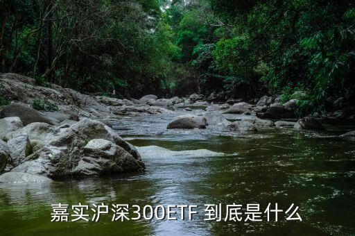 深證etf是什么，ETF 是什么意思