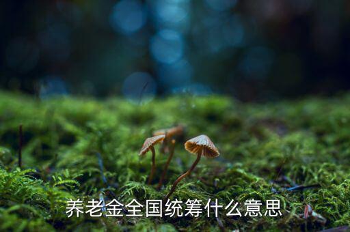 養(yǎng)老金統(tǒng)籌是什么意思，養(yǎng)老金全國統(tǒng)籌什么意思