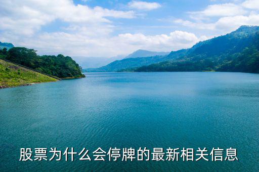 金盾股份為什么停牌，金盾股份停牌己一月再過(guò)半月后復(fù)牌行情會(huì)怎樣謝謝  搜