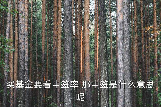 什么是網(wǎng)下中簽率，買(mǎi)基金要看中簽率 那中簽是什么意思呢