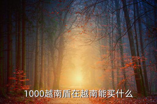 1越南盾能買什么，1盾越南幣能買什么