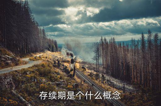 什么是貸款存續(xù)期，什么叫存續(xù)期看百度百科看不懂求簡單易懂的解釋