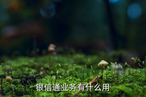 銀聯(lián)通是什么，銀信通業(yè)務(wù)有什么用