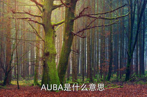 華夏現(xiàn)金增利貨幣a是什么，AUBA是什么意思
