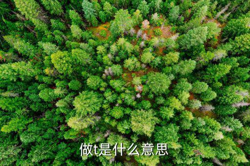 莊家做t是什么意思，莊做T 在股票里什么意思