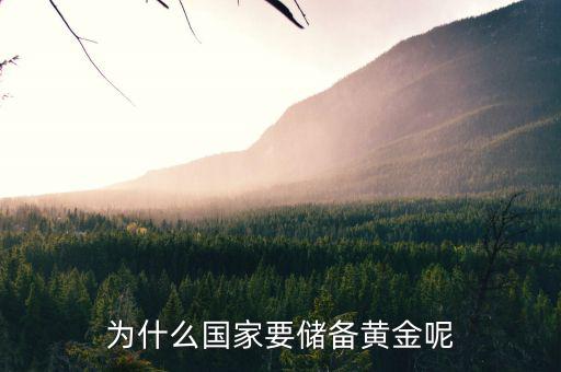 黃金為什么是儲(chǔ)備，國(guó)家為什么要儲(chǔ)備黃金不儲(chǔ)備鉑金鈀金這些也值錢(qián)啊為什么只