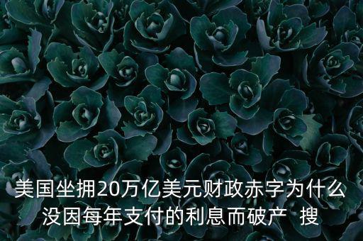 美國(guó)坐擁20萬(wàn)億美元財(cái)政赤字為什么沒因每年支付的利息而破產(chǎn)  搜