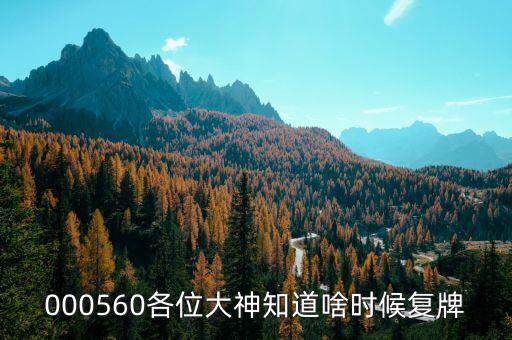 皖通科技什么時(shí)候復(fù)牌，600565什么時(shí)候復(fù)牌開市