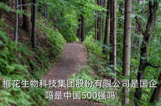 梅花生物是什么板塊，梅花生物科技集團(tuán)股份有限公司是國企嗎是中國500強(qiáng)嗎