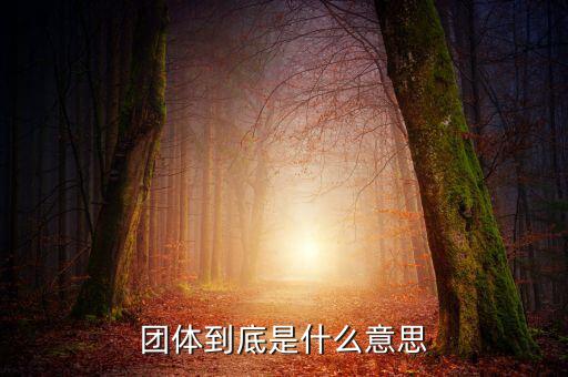 游說(shuō)團(tuán)體是什么，什么是團(tuán)體