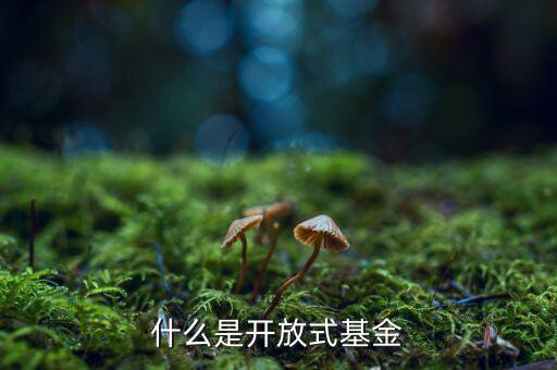 什么是開(kāi)放型基金，什么是開(kāi)放式基金