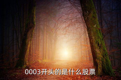 000053是什么股票，原來A股中科健現(xiàn)在是什么股票代碼