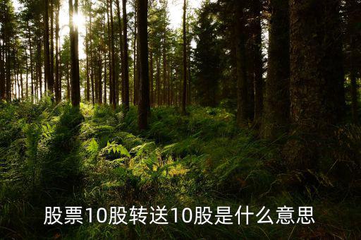 十股轉(zhuǎn)贈十股是什么意思，股票10股轉(zhuǎn)送10股是什么意思
