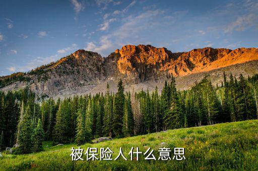 交強(qiáng)險(xiǎn)中的被保險(xiǎn)人是什么意思，什么是交強(qiáng)險(xiǎn)合同的被保險(xiǎn)人