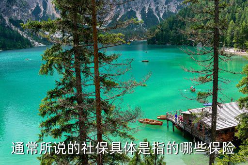 社保包括什么保險，社保具體是指的哪些保險
