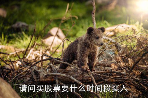 什么時(shí)候買(mǎi)入股票，請(qǐng)問(wèn)買(mǎi)股票要什么時(shí)間段買(mǎi)入
