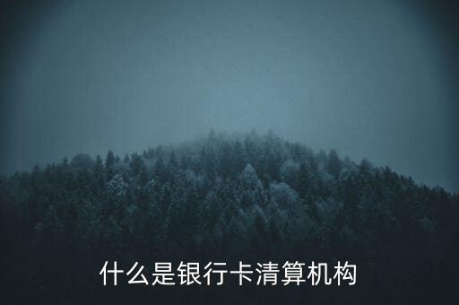 同一卡組織清算機構(gòu)指什么，銀行卡清算機構(gòu)銀行支付機構(gòu)到底有什么區(qū)