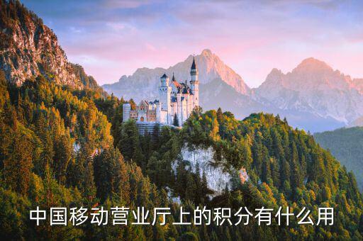 10086的積分有什么用，移動(dòng)電話積分有什么用