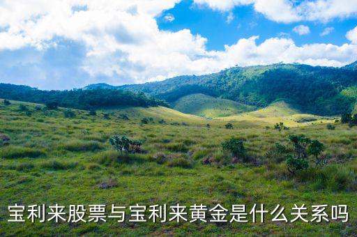 為什么寶利來大漲，寶利來會漲嗎