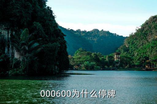 軟控股份為什么停牌，002399今天為什么停牌