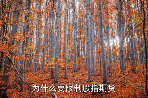 為什么不暫停股指期貨，為什么要限制股指期貨