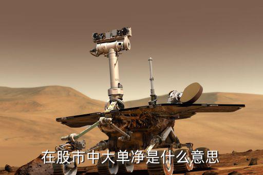 大單凈值什么意思，大單凈比是什么意思
