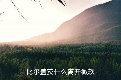 比爾蓋茨為什么退出微軟，比爾蓋茨什么離開微軟