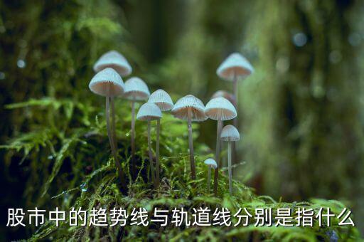 什么是股票軌道線，股票 軌道是什么
