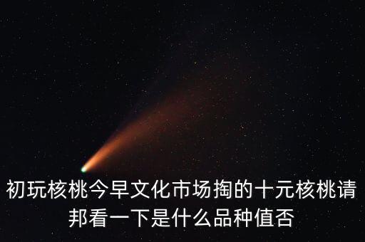 賭核桃是什么品種，請問我這個手玩核桃是什么品種好嗎值多錢