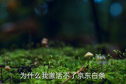 為什么京東的白條激活不了，京東商城的白條為什么激活不了