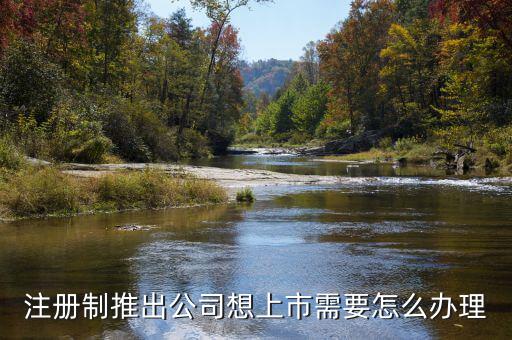 注冊(cè)制上市要什么條件，注冊(cè)制推出公司想上市需要怎么辦理