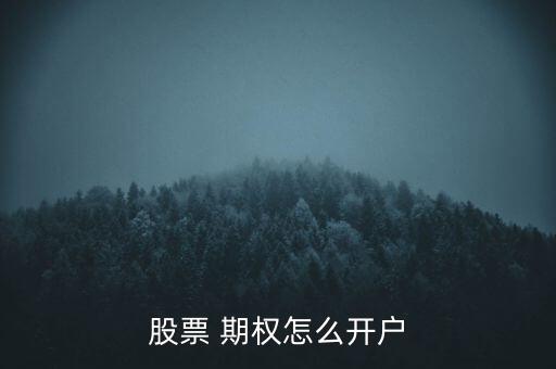 股票 期權(quán)怎么開(kāi)戶