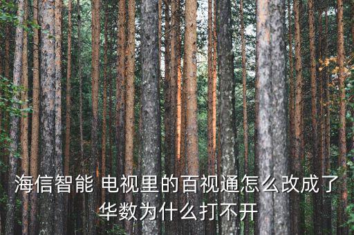 海信智能 電視里的百視通怎么改成了 華數為什么打不開